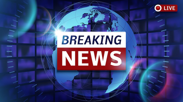 Fundación Tortuga trabaja por un futuro azul 4